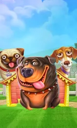 The Dog House